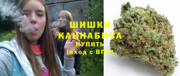сатива Аркадак