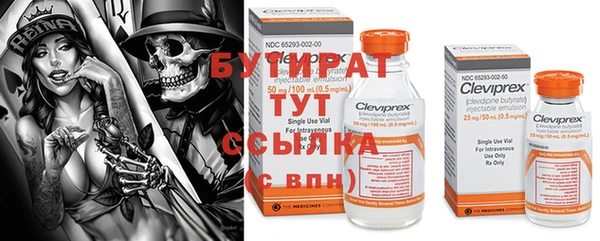 сатива Аркадак