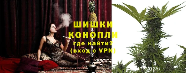 сатива Аркадак