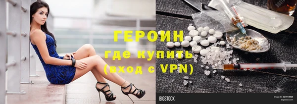 сатива Аркадак