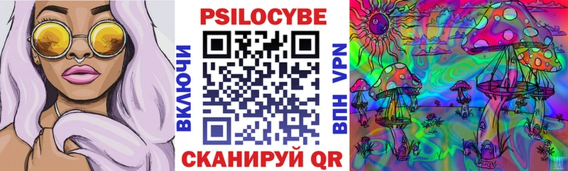 мориарти какой сайт  Мытищи  Псилоцибиновые грибы Psilocybe 