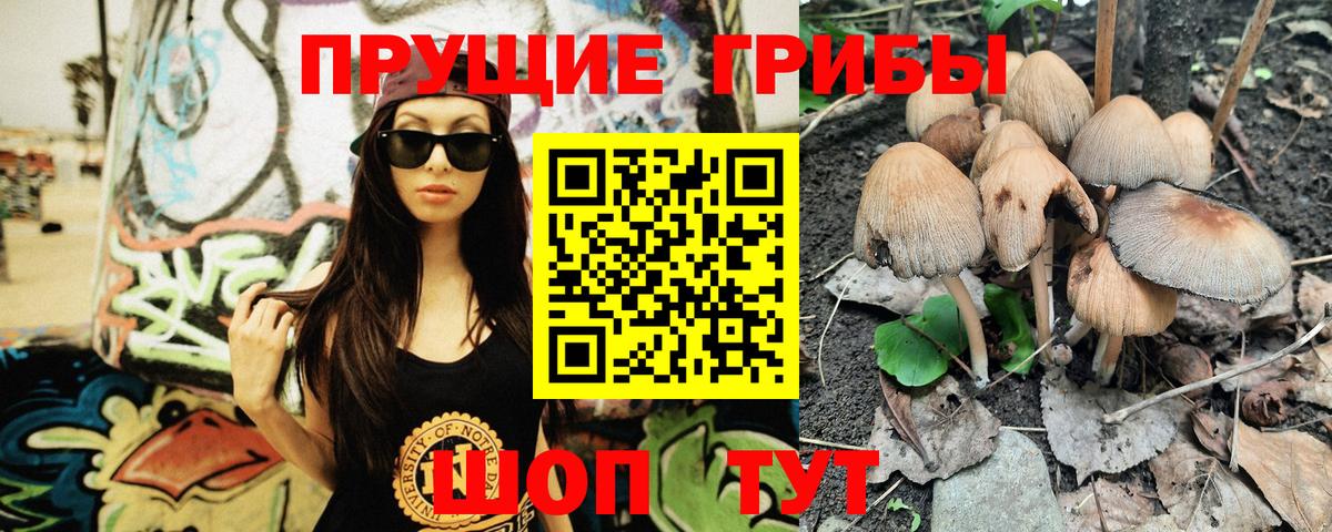 Галлюциногенные грибы GOLDEN TEACHER Мытищи